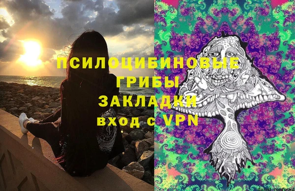 эйфоретик Пестово