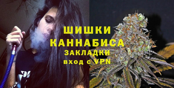 дживик Переславль-Залесский