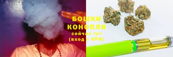 эйфоретик Пестово