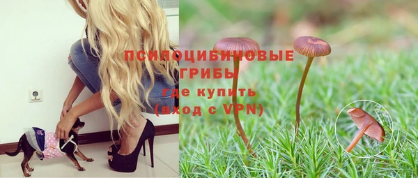 apvp Лиски