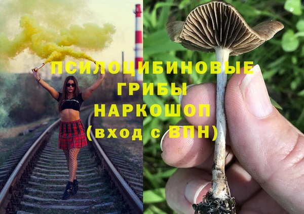 героин Покачи