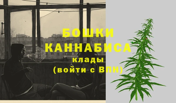 дживик Переславль-Залесский