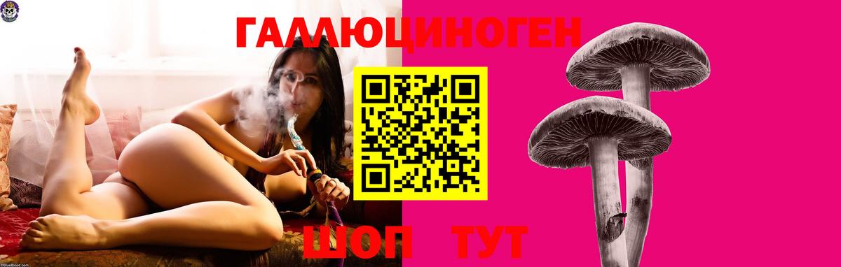 Галлюциногенные грибы Cubensis Кохма